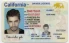 California-CA Fake ID