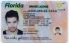 Florida Fake ID
