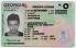 Georgia - View 1 - Fake ID Details