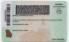 Georgia - View 2 - Fake ID Details