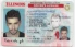 Illinois-IL Fake ID