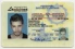 Louisiana-LA Fake ID