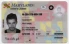 Maryland-MD Fake ID