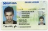 Montana-MT Fake ID