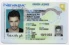 Nevada-NV Fake ID