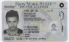 New York-NY Fake ID