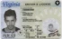Virginia-VA Fake ID