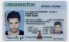 Washington-WA  Fake ID